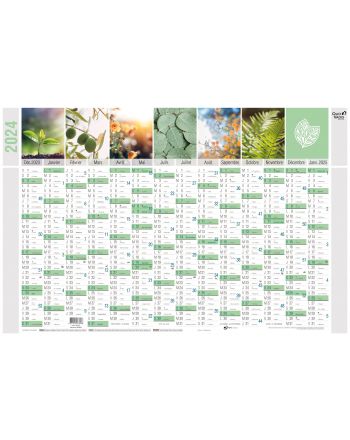 Kalender 14 Monate Equology