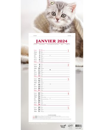 Kalender 12 Monate Tiere