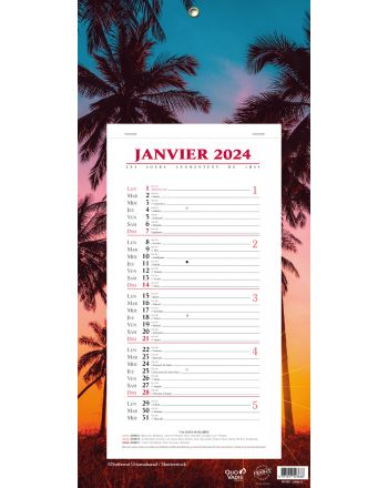 Kalender 12 Monate Evasion