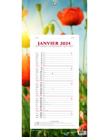 Kalender 12 Monate Fleurs