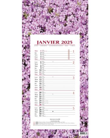 Kalender 12 Monate