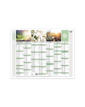 Kalender 14 Monate