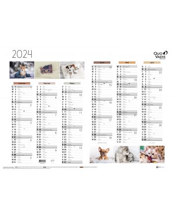 Kalender 12 Monate Fantasie