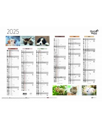 Kalender 12 Monate